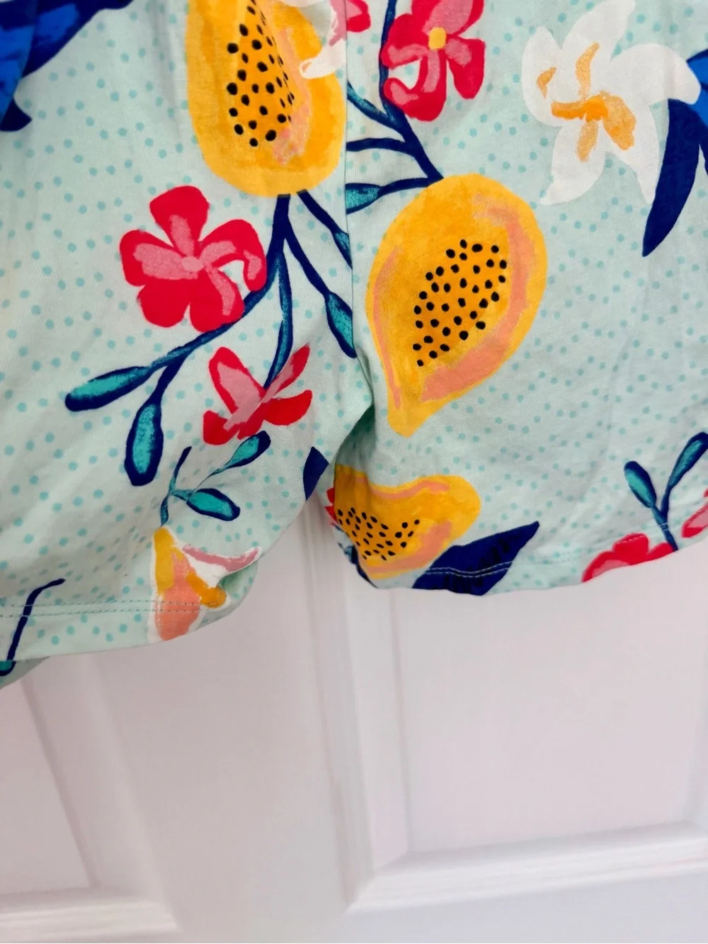Tea Collection Light Aqua Tropical Fruit Print Matching Shorts Set